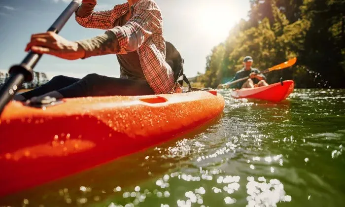 1-Hour self-guide canoe trip along the Knysna Lagoon