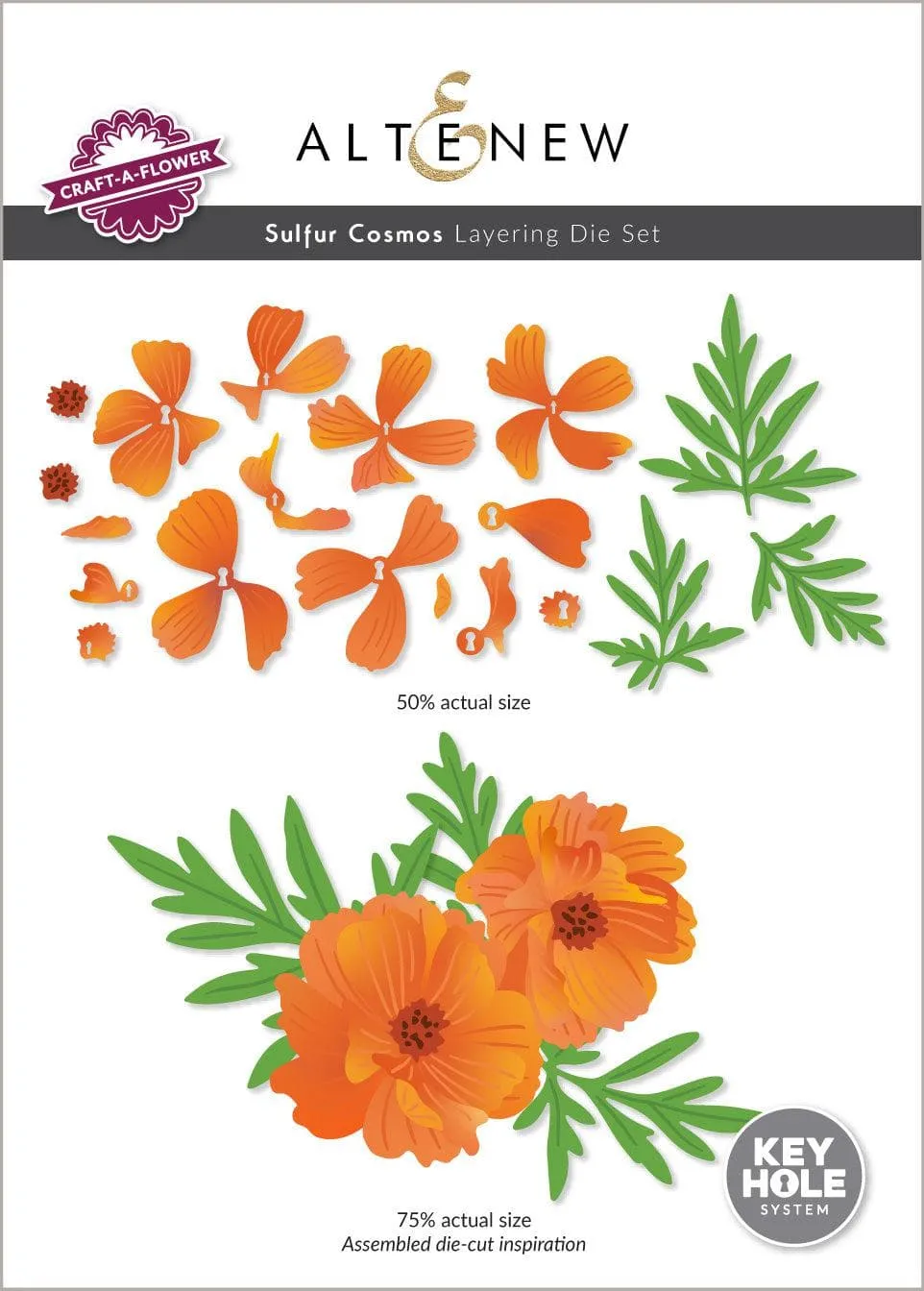 Craft-A-Flower: Sulfur Cosmos Layering Die Set