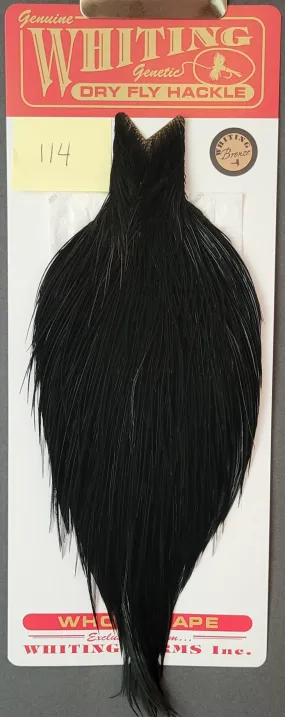 Flash Sale Hackle 114 - Whiting Cape Bronze - Black (sizes 8-22)