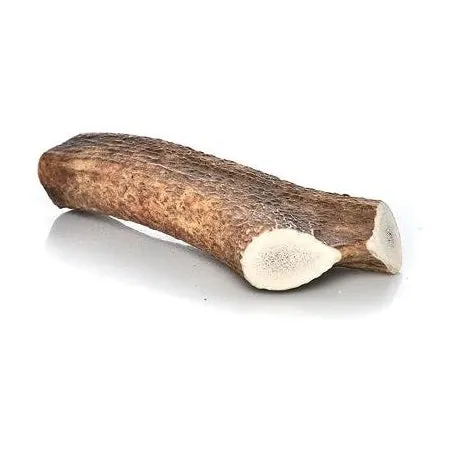 Happy Dog of Cape Cod Whole Elk Antler Dog Chews