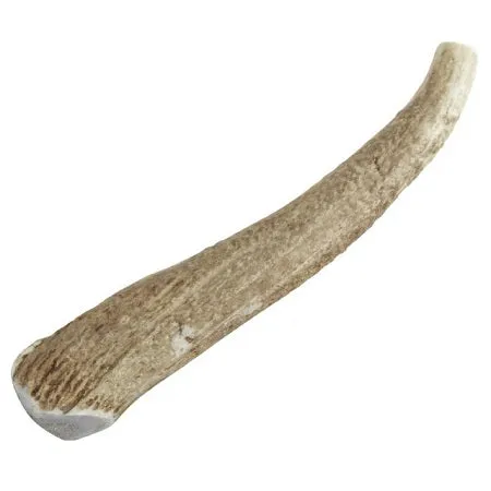 Happy Dog of Cape Cod Whole Elk Antler Dog Chews