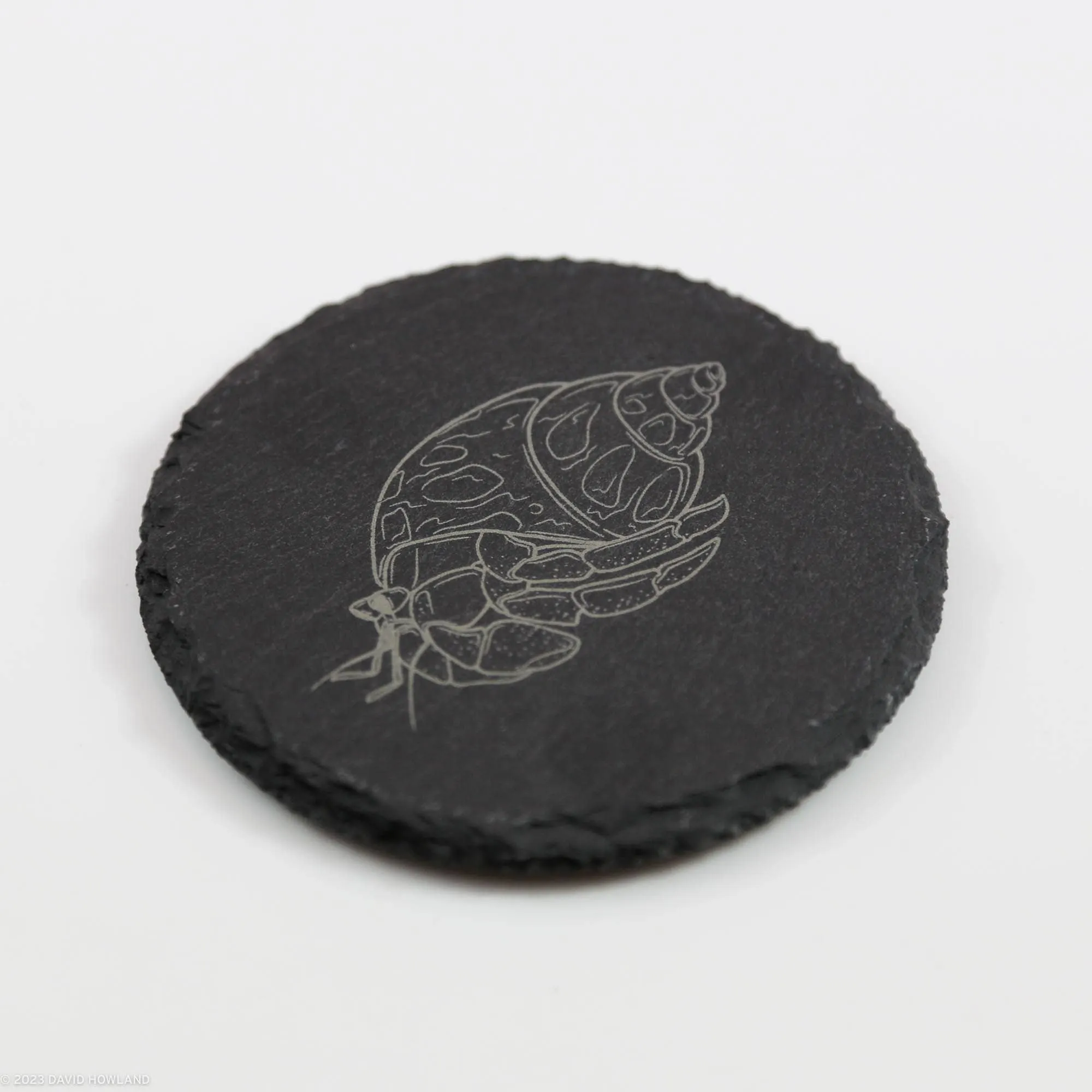 Hermit Crab Slate Coaster