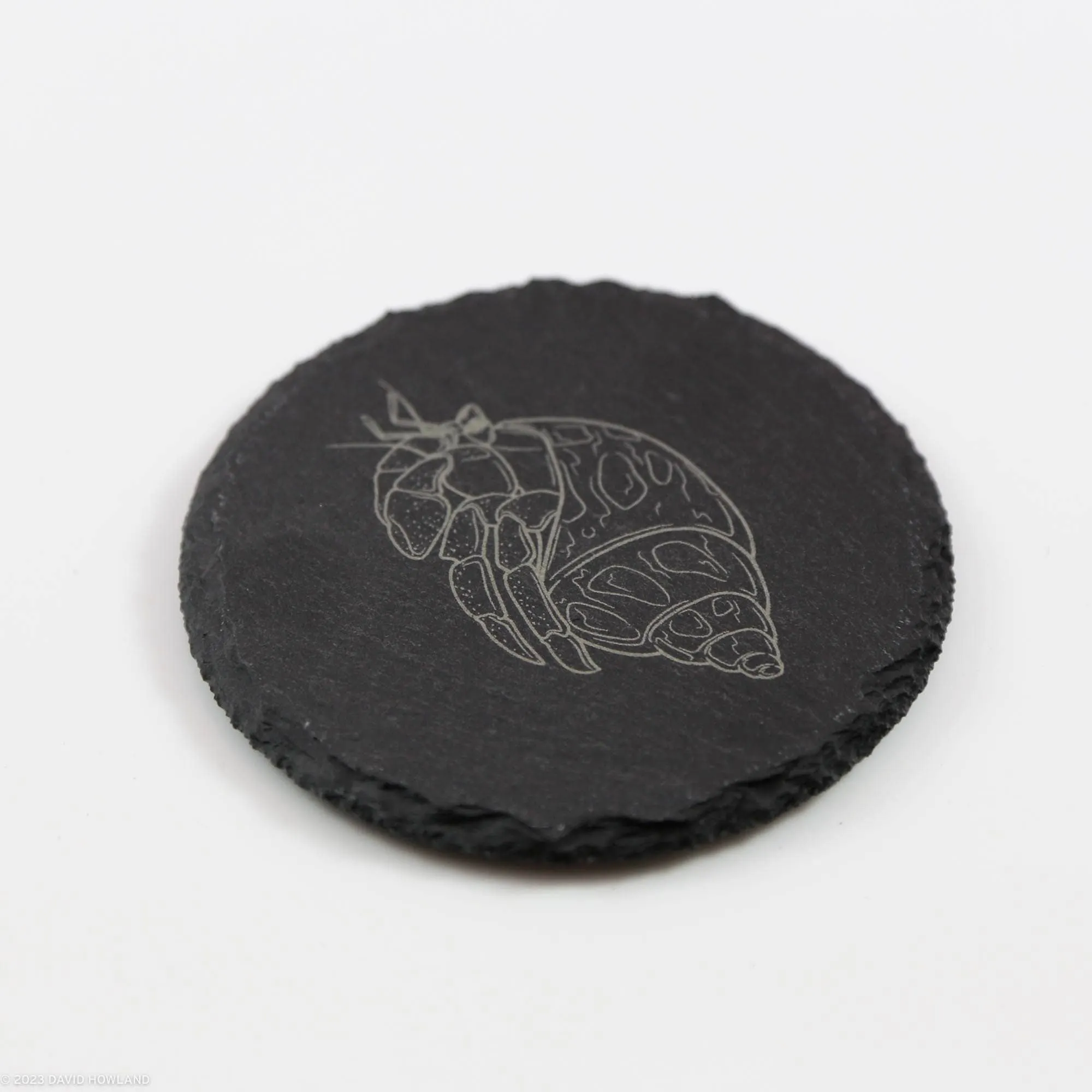 Hermit Crab Slate Coaster