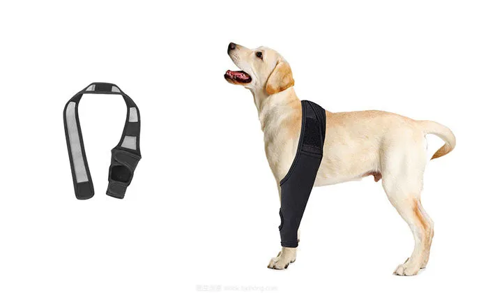 Joint Support Pets Knee Brace