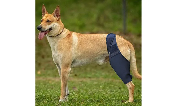 Joint Support Pets Knee Brace