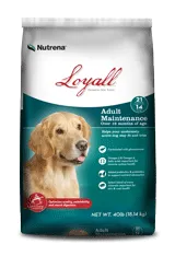 Loyall Adult Maintenance