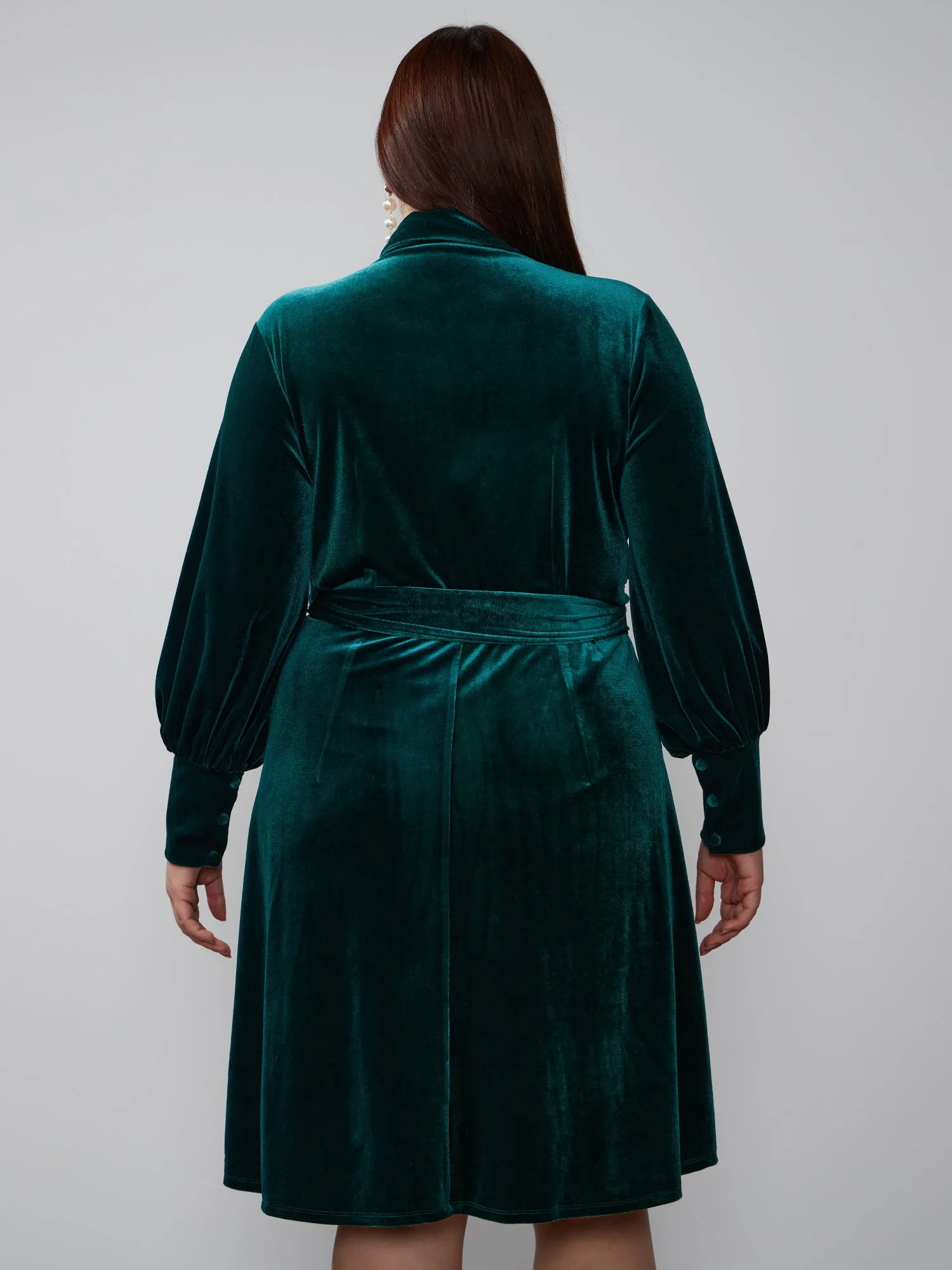 Plus Long Sleeve Velvet Wrap Dress